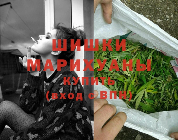 дживик Балахна