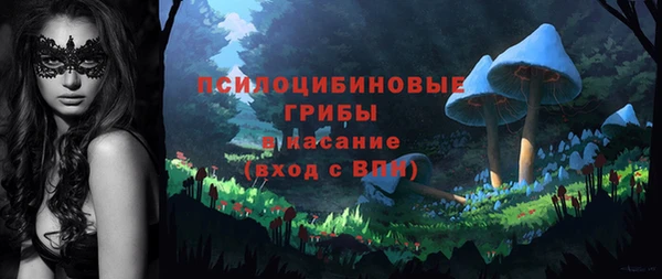дживик Балахна