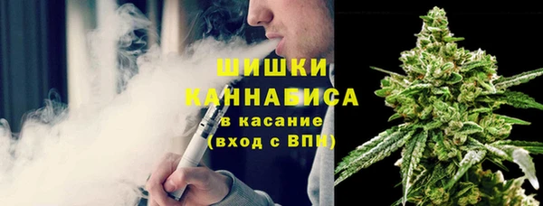 сатива Белоозёрский